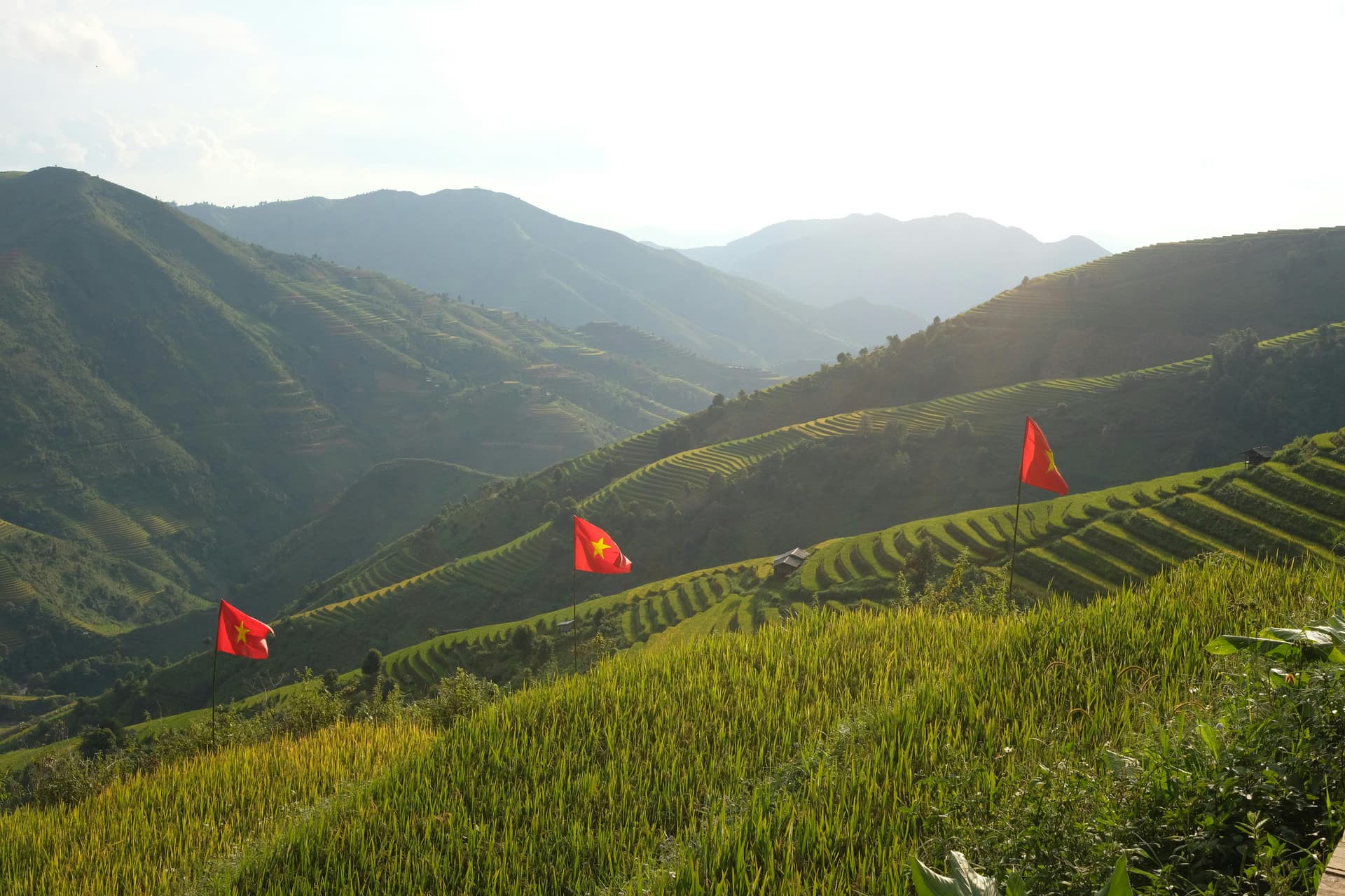 中美關稅戰下的產地轉移策略：越南還是印度？